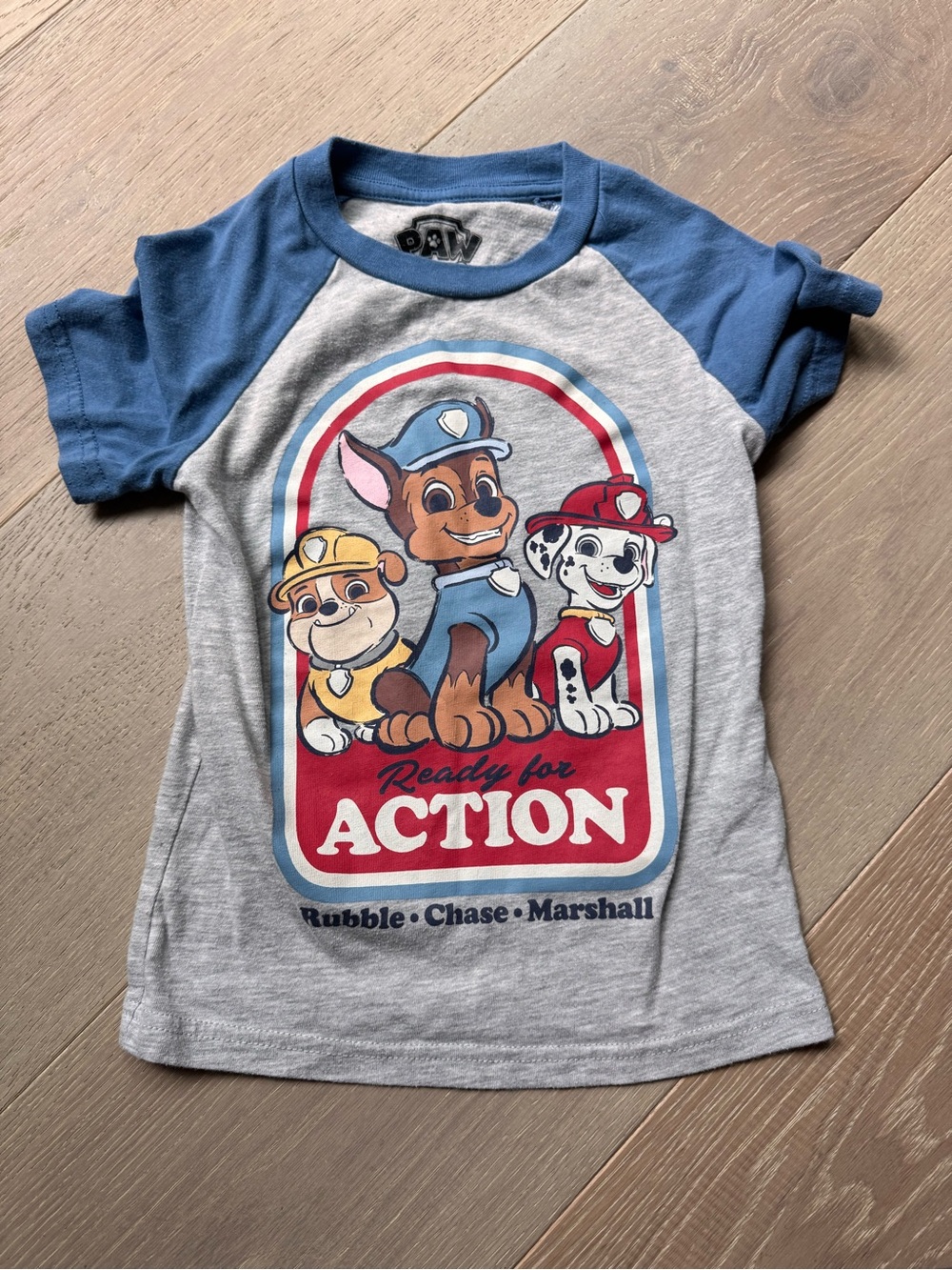 Paw Patrol Kids Raglan Tee in Heather Gray and Blue with Multicolor Print